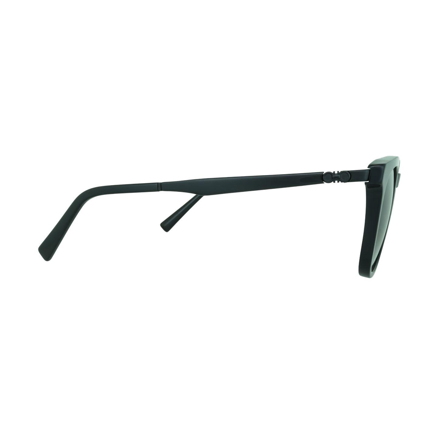 Salvatore Ferragamo SF1100S 001 Sunglasses