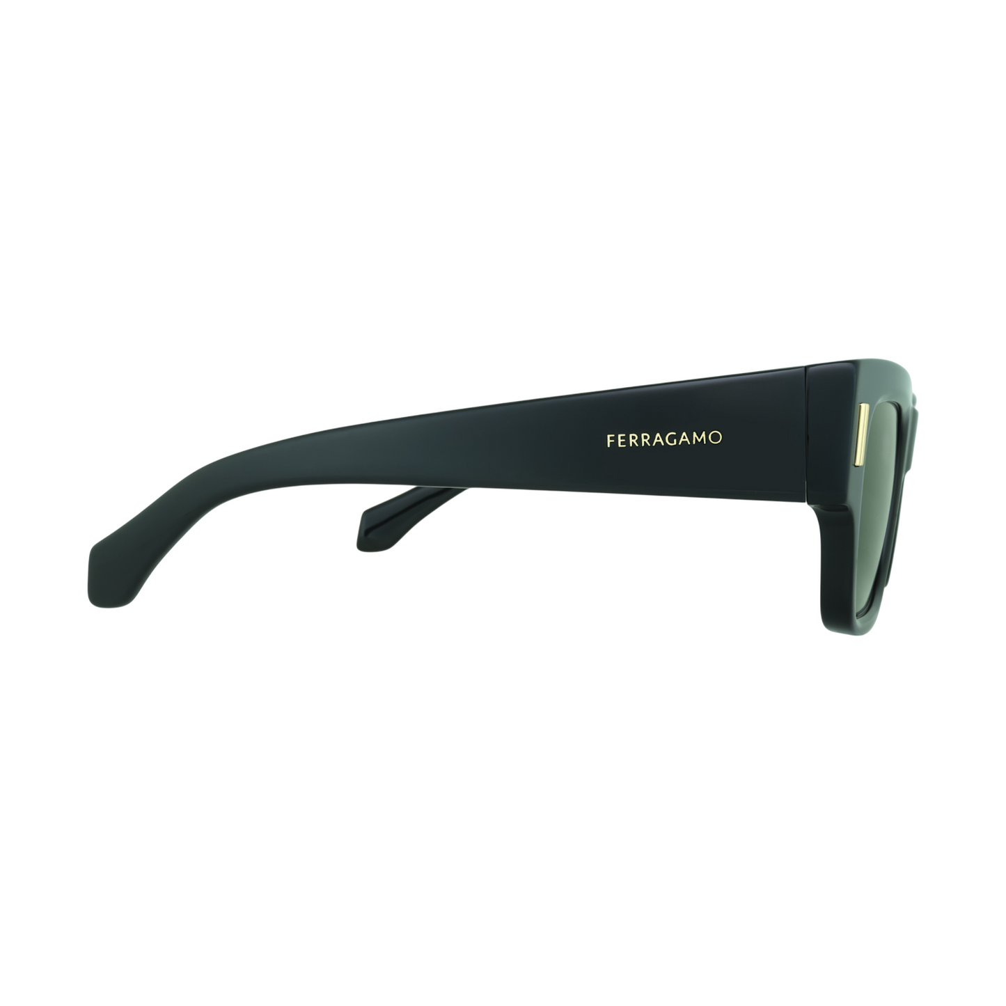 Salvatore Ferragamo SF2011S 001 Sunglasses