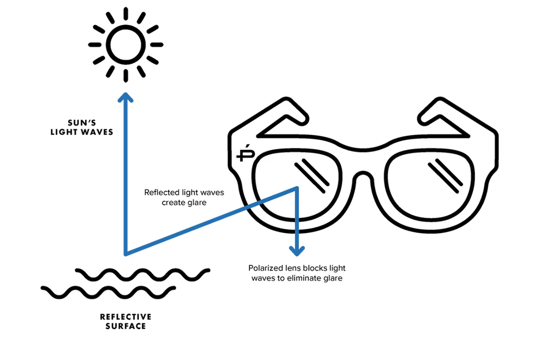 What are Polarized Sunglasses?