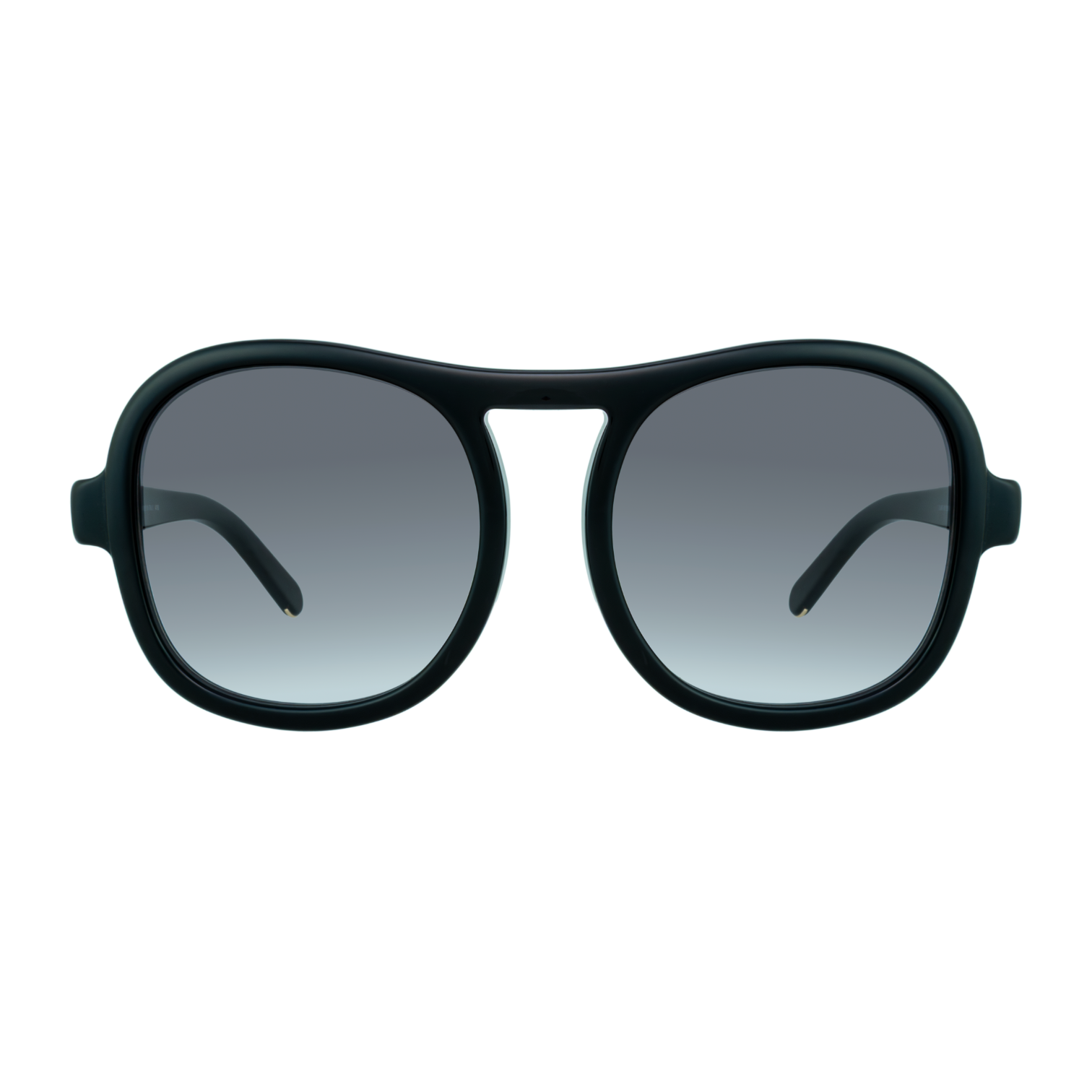 Chloe Marlow CE720S 001 Squarish Sunglasses