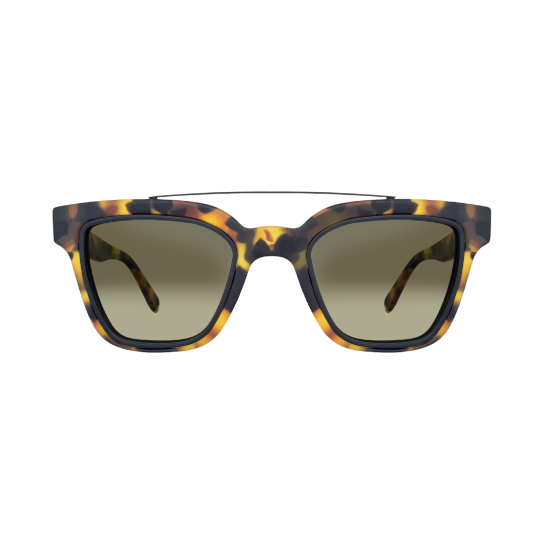 Marshall LEE Havana Sunglasses