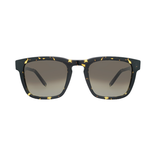 Salvatore Ferragamo SF827S 281 Sunglasses