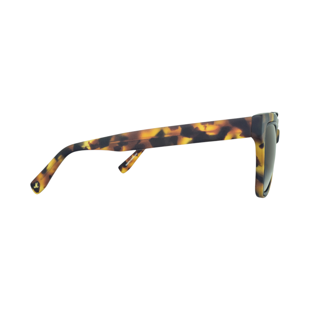 Marshall LEE Havana Sunglasses