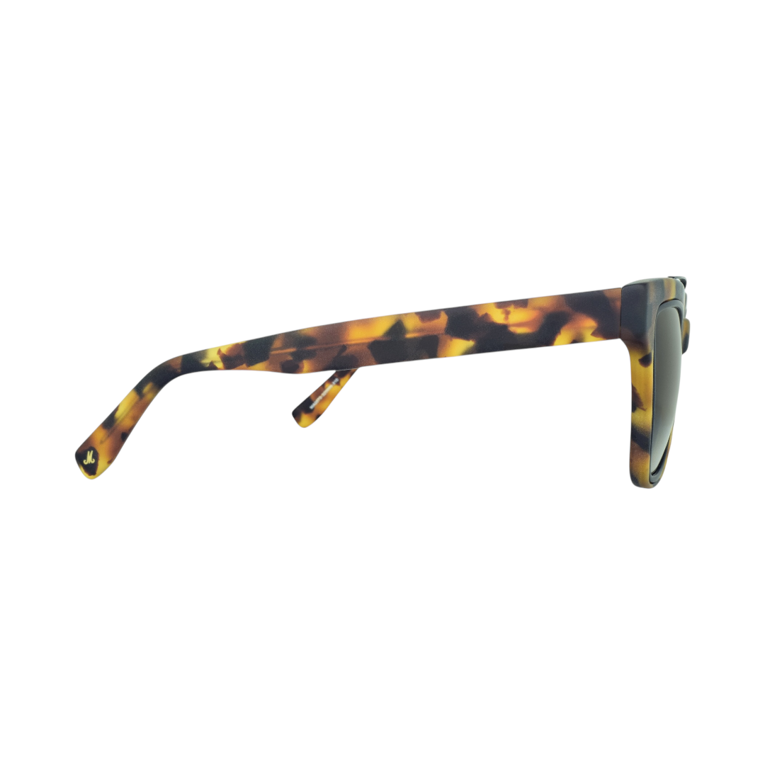 Marshall LEE Havana Sunglasses, acetate by Marshall amps
