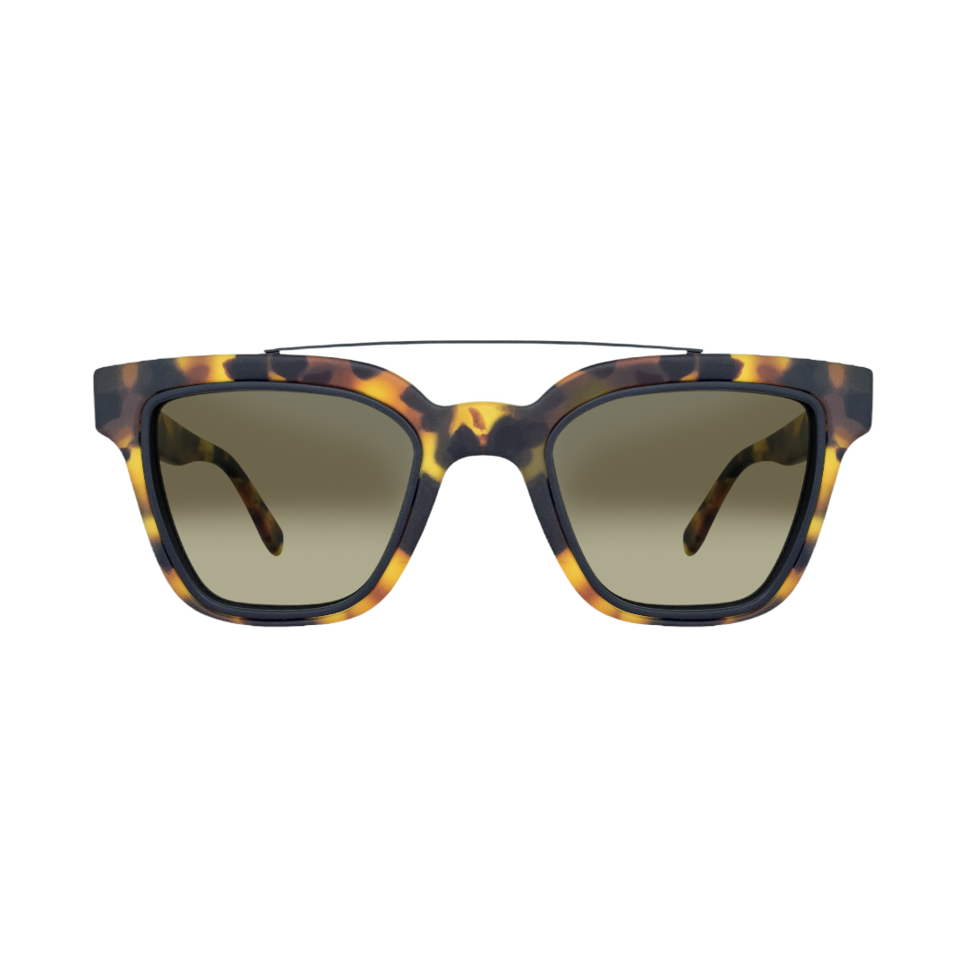 Marshall LEE Havana Sunglasses 